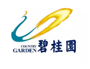 惠东碧桂园地产